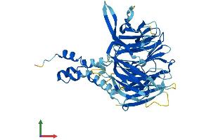 AlphaFold protein structure predicition of Human Recombinant FBXW12 Protein, UniprotID Q6X9E4