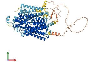 Protein Structure (PS) image for Solute Carrier Family 5 Member 3 (SLC5A3) (AA 1-718) protein (His tag) (ABIN7561657)