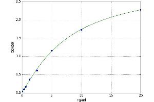 A typical standard curve (BCL2L1 ELISA 试剂盒)