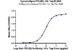Immobilized Cynomolgus FOLR2, His Tag at 0.