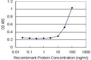 Sandwich ELISA detection sensitivity ranging from 10 ng/mL to 100 ng/mL. (HMGB2 (人) Matched Antibody Pair)