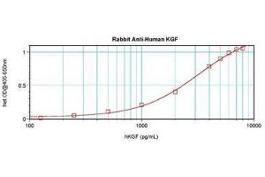 Image no. 3 for anti-Fibroblast Growth Factor 7 (FGF7) antibody (ABIN465624) (FGF7 抗体)