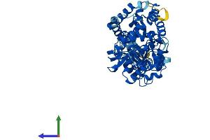 Protein Structure (PS) image for Cytochrome P450, Family 39, Subfamily A, Polypeptide 1 (CYP39A1) (AA 1-470) protein (His tag) (ABIN7561636)