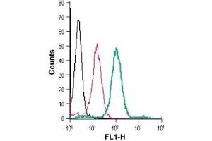 Cell surface detection of Zinc transporter ZIP8 in live intact human THP-1 monocytic leukemia cells: (black line) Cells. (SLC39A8 抗体  (Extracellular) (FITC))