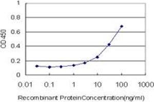 Detection limit for recombinant GST tagged MEOX1 is approximately 1ng/ml as a capture antibody. (MEOX1 抗体  (AA 165-252))