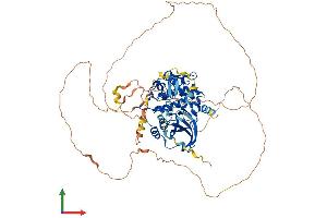 Protein Structure (PS) image for P21-Activated Kinase 6 (PAK6) (AA 1-682) protein (His tag) (ABIN7563731)