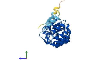 Protein Structure (PS) image for Antagonist of Mitotic Exit Network 1 Homolog (AMN1) (AA 1-258) protein (His tag) (ABIN7552273)