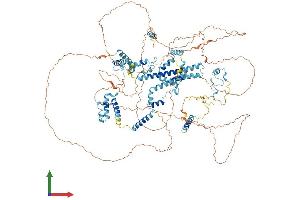 Protein Structure (PS) image for Splicing Factor, Arginine/serine-Rich 14 (SFRS14) (AA 1-1082) protein (His tag) (ABIN7555667)