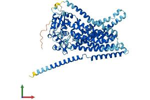 Protein Structure (PS) image for Anoctamin 10 (ANO10) (AA 1-659) protein (His tag) (ABIN7558616)