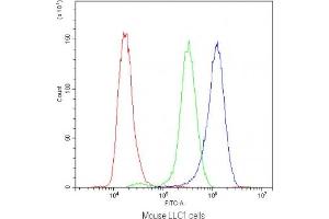 Flow Cytometry (FACS) image for anti-Synaptotagmin I (SYT1) antibody (ABIN5647273)