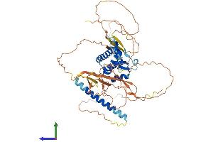 Protein Structure (PS) image for Protein BANP (BANP) (AA 1-519) protein (His tag) (ABIN7552654)