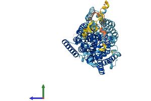 Protein Structure (PS) image for Solute Carrier Family 5 (Sodium/glucose Cotransporter), Member 1 (SLC5A1) (AA 1-665) protein (His tag) (ABIN7559124)