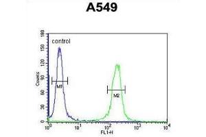 Flow Cytometry (FACS) image for anti-Intraflagellar Transport 43 Homolog (IFT43) antibody (ABIN3002323) (IFT43 抗体)