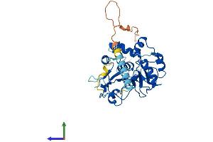 Protein Structure (PS) image for ST3 beta-Galactoside alpha-2,3-Sialyltransferase 2 (ST3GAL2) (AA 1-350) protein (His tag) (ABIN7556965)