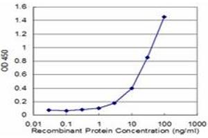 Detection limit for recombinant GST tagged APP is approximately 1ng/ml as a capture antibody. (APP 抗体  (AA 19-305))