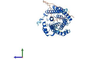 Protein Structure (PS) image for Ceramide Synthase 6 (CERS6) (AA 1-384) protein (His tag) (ABIN7559101)
