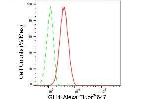 Flow cytometric analysis of GLI1 expression in C2C12 cells using GLI1 antibody (ABIN7800900), 1:2,000). (Recombinant GLI1 抗体)