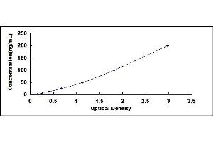 Typical standard curve (HSP70 ELISA 试剂盒)