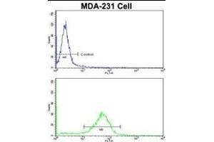 Flow cytometric analysis of MDA-231 cells using BARON Antibody (N-term)(bottom histogram) compared to a negative control cell (top histogram). (Rubicon 抗体  (N-Term))