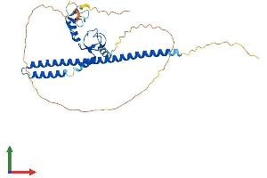 Protein Structure (PS) image for Tripartite Motif Containing 44 (TRIM44) (AA 1-346) protein (His tag) (ABIN7561742)