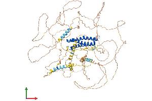 Protein Structure (PS) image for Discs, Large (Drosophila) Homolog-Associated Protein 1 (DLGAP1) (AA 1-977) protein (His tag) (ABIN7553670)