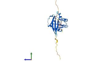 Protein Structure (PS) image for RAB5C, Member RAS Oncogene Family (Rab5c) (AA 1-216) protein (His tag) (ABIN7551174)