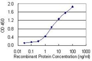 Detection limit for recombinant GST tagged H2AFV is 0. (H2AFV 抗体  (AA 1-128))