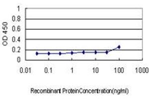 Detection limit for recombinant GST tagged COX6C is approximately 1ng/ml as a capture antibody. (COX6C 抗体  (AA 1-75))