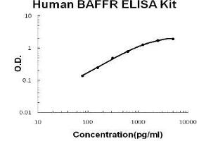 Human TNFRSF13C/BAFFR PicoKine ELISA Kit standard curve (TNFRSF13C ELISA 试剂盒)