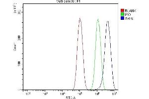 Flow Cytometry analysis of PC-3 cells using anti-ARF6 antibody (ABIN7602413). (ARF6 抗体  (AA 75-175))