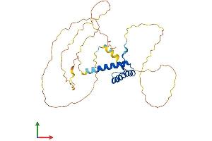 Protein Structure (PS) image for Homeobox C11 (HOXC11) (AA 1-304) protein (His tag) (ABIN7548396)