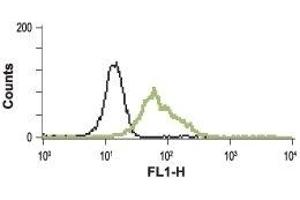 Cell surface detection of BRS3 in live intact human promyelocytic leukemia HL-60 cells: (black line) Unstained cells + goat-anti-rabbit-FITC. (Bombesin Receptor 3 抗体  (2nd Extracellular Loop))