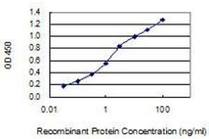 Detection limit for recombinant GST tagged SPPL2A is 0. (SPPL2A 抗体  (AA 31-129))