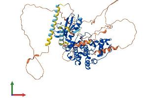 Protein Structure (PS) image for SRSF Protein Kinase 1 (SRPK1) (AA 1-648) protein (His tag) (ABIN7562562)