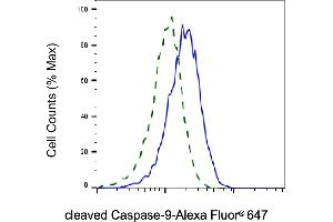 Validation of cleaved Caspase-9 knockdown using flow cytometry. (Recombinant Caspase 9 抗体  (cleaved))