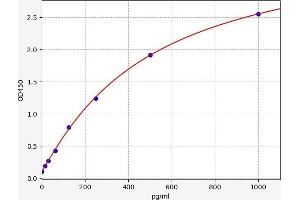 Typical standard curve (Phospholipase D2 ELISA 试剂盒)