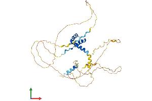 Protein Structure (PS) image for ALX Homeobox 4 (ALX4) (AA 1-399) protein (His tag) (ABIN7562270)