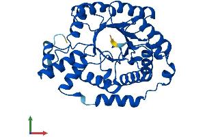 Protein Structure (PS) image for Deoxyribose-Phosphate Aldolase (DERA) (AA 1-318) protein (His tag) (ABIN7560112)