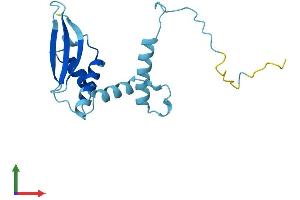 Protein Structure (PS) image for Chromosome 3 Open Reading Frame 34 (C3orf34) (AA 1-163) protein (His tag) (ABIN7560525)