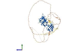 Protein Structure (PS) image for Mdm2, p53 E3 Ubiquitin Protein Ligase Homolog (Mouse) (MDM2) (AA 1-491) protein (His tag) (ABIN7554539)