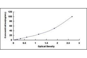 Typical standard curve (Perforin 1 ELISA 试剂盒)