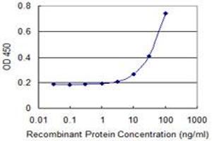 Detection limit for recombinant GST tagged KLK4 is 3 ng/ml as a capture antibody. (Kallikrein 4 抗体  (AA 159-254))