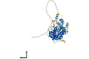 AlphaFold protein structure predicition of Mouse Recombinant Gtpbp6 Protein, UniprotID Q3U6U5