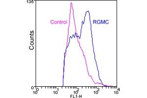 Flow cytometry analysis of HEK293 cells stably overexpressing RGMC stained with RGMC (human), mAb (1D7) at 1:100 dilution (blue line) or normal mouse IgG (control, purple line). (HFE2 抗体  (AA 36-398))
