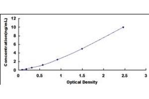 Typical standard curve (NR1D2 ELISA 试剂盒)