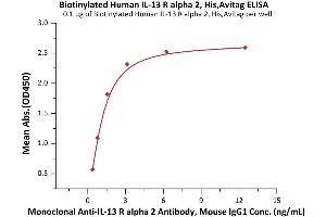 Immobilized Biotinylated Human IL-13 R alpha 2, His,Avitag (ABIN6992336) at 1 μg/mL (100 μL/well) on streptavidin  precoated (0. (IL13RA2 Protein (AA 27-343) (His tag,AVI tag,Biotin))
