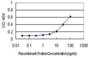 Detection limit for recombinant GST tagged HOP is approximately 3ng/ml as a capture antibody. (HOPX 抗体  (AA 1-73))