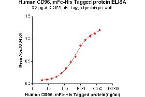 ELISA image for CD96 (CD96) (AA 22-503) protein (mFc-His Tag) (ABIN6961101)