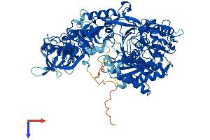 EIF2C3 Protein (AA 1-860) (His tag)
