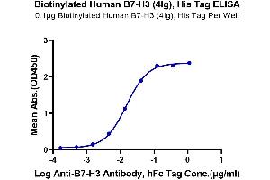 Immobilized Biotinylated Human B7-H3 (4Ig), His Tag at 1 μg/mL (100 μL/Well) on the plate.
